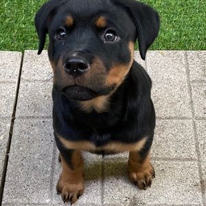 Meet your Posher, Crystal